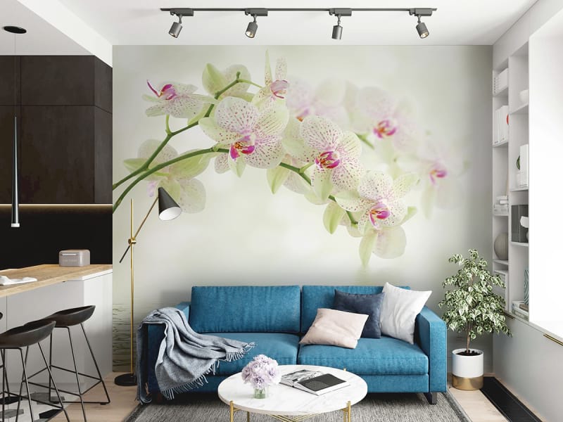 Fototapeta Weiße Orchideen we wnętrzu salonu
