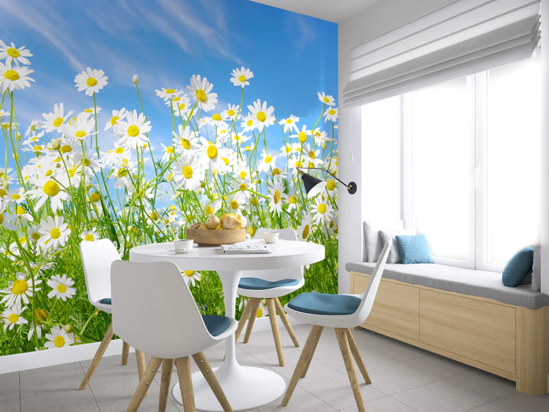 Fototapeta Gänseblümchen im Sommer we wnętrzu kuchni