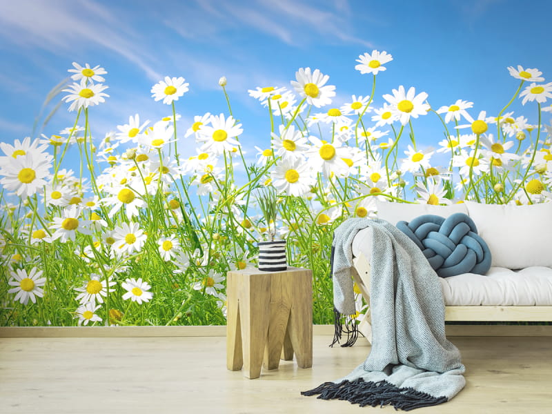 Fototapeta Gänseblümchen im Sommer we wnętrzu salonu