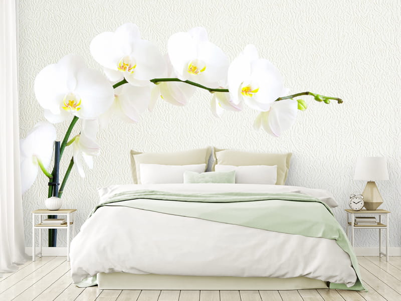 Fototapeta Kaskadierende Orchideen we wnętrzu sypialni