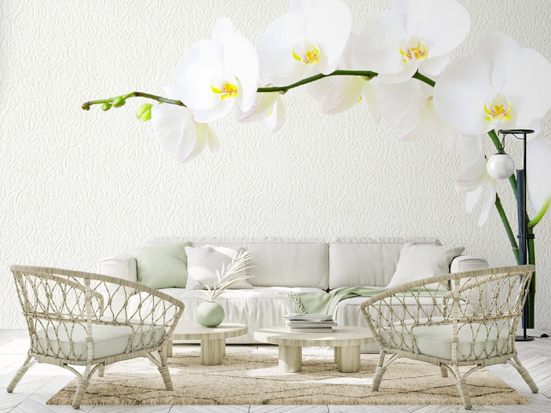 Fototapeta Kaskadierende Orchideen we wnętrzu salonu