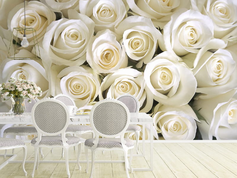 Fototapeta Weiße Rose we wnętrzu kuchni