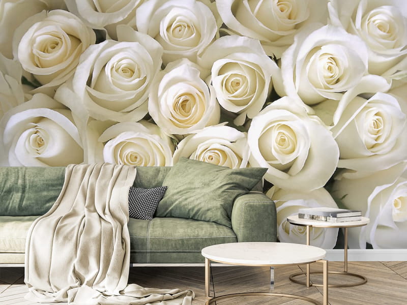 Fototapeta Weiße Rose we wnętrzu salonu