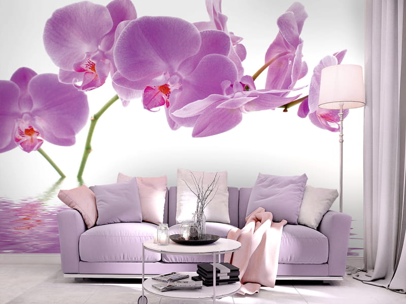 Fototapeta Rosa Orchideen we wnętrzu salonu