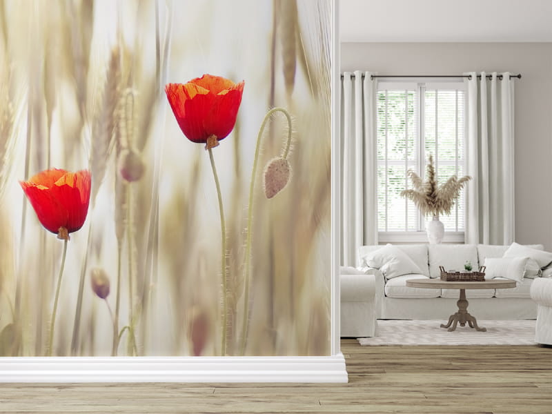 Fototapeta Rote Mohnblumen we wnętrzu salonu