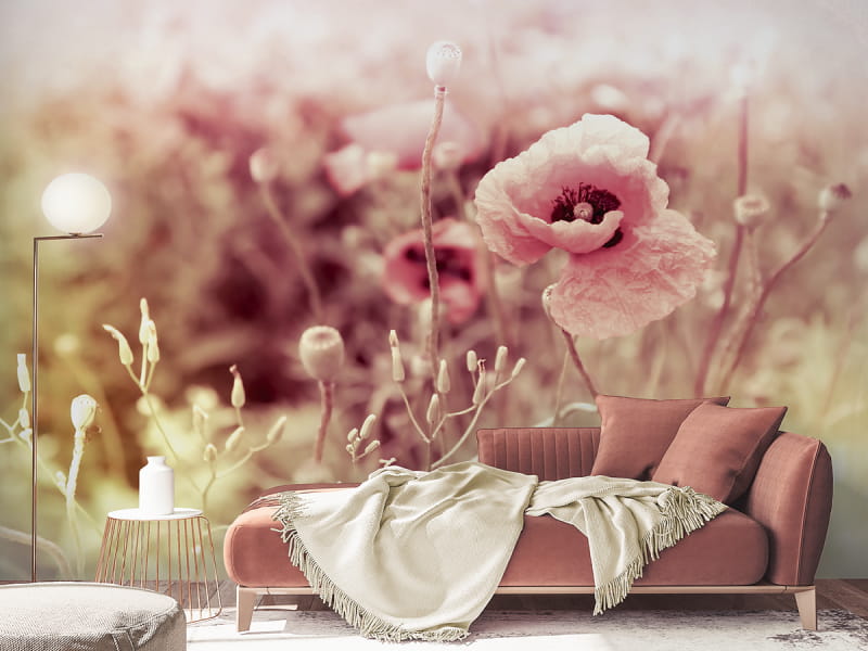 Fototapeta Wunderschöner Mohn we wnętrzu salonu