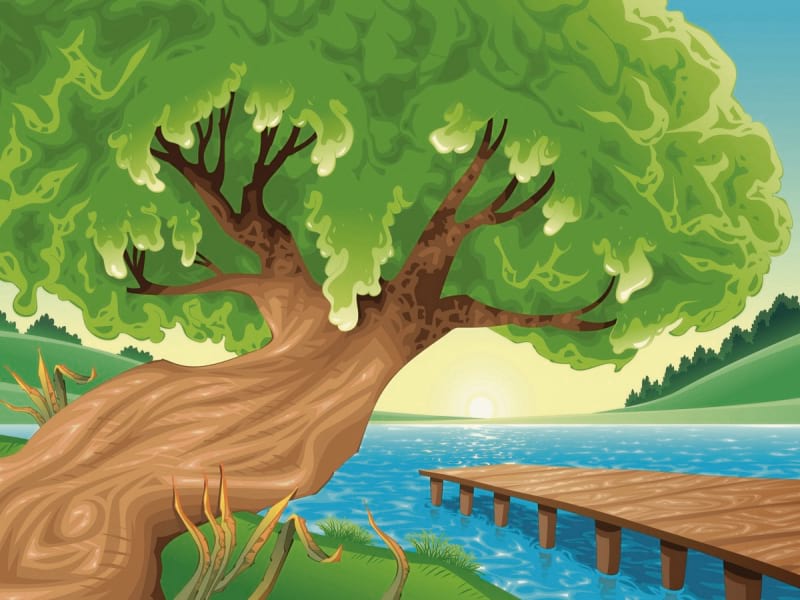 Fototapeta Baum am Ufer des Sees
