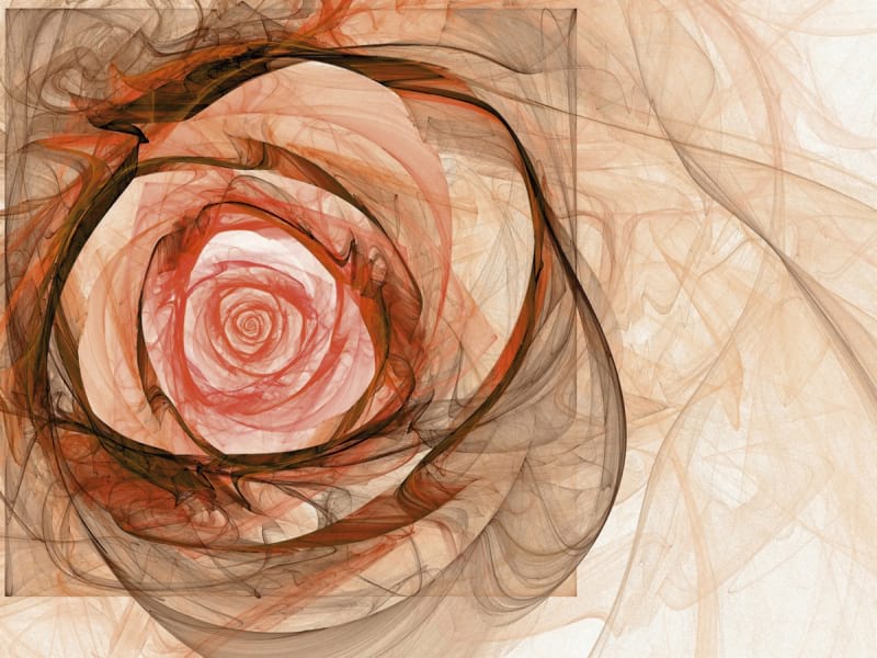 Fototapeta Große Rose