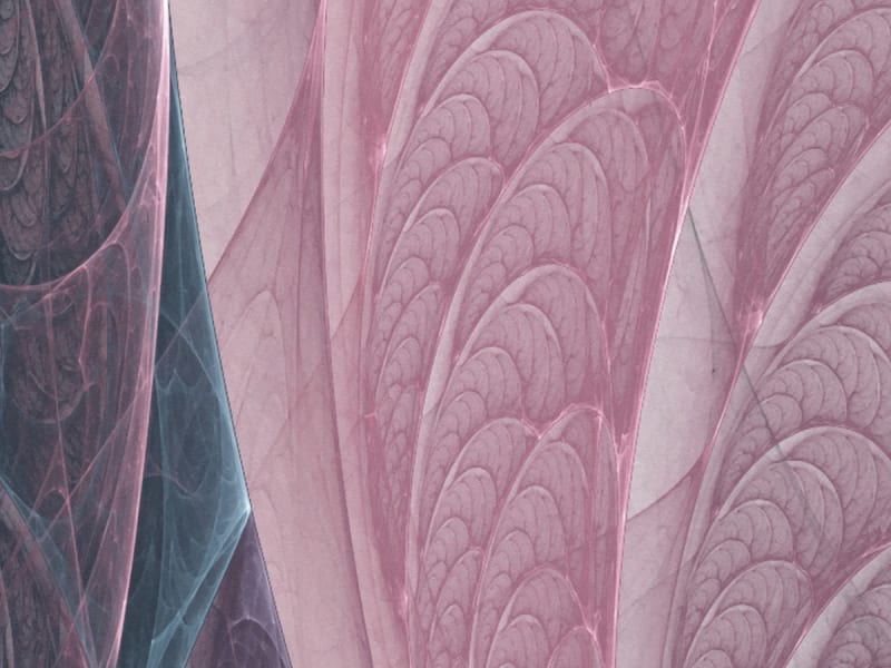Fototapeta Rosa Blätter fragment #2