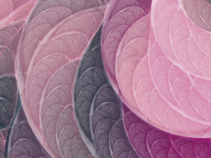 Fototapeta Rosa Blätter