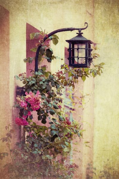 Fototapeta Laterne in Blumen