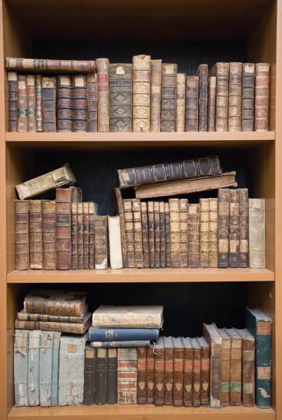Fototapeta Bücher in den Regalen