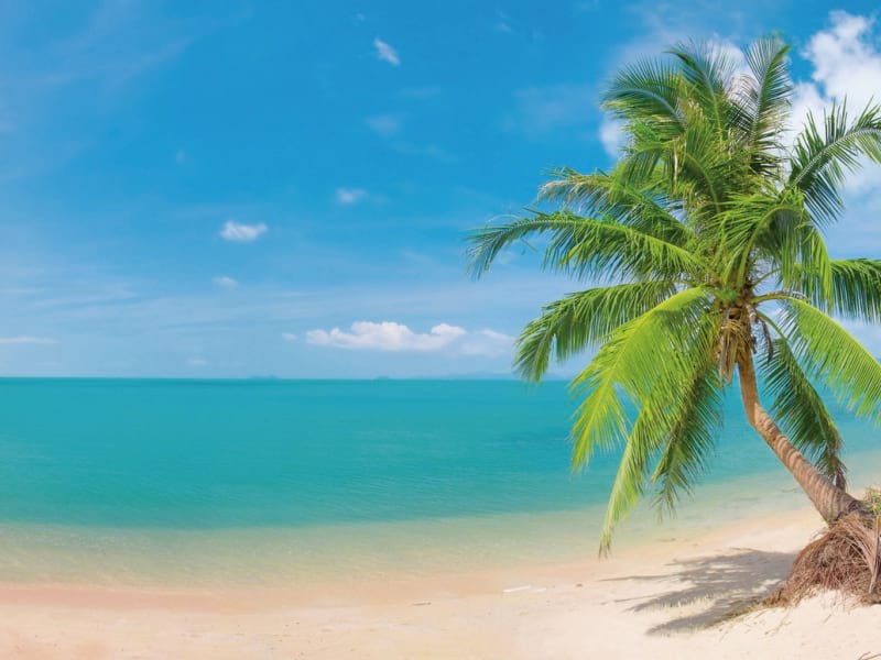 Fototapeta Goldener Strand