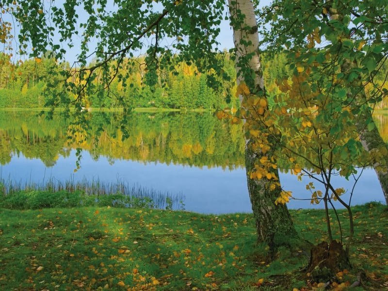 Fototapeta Waldsee