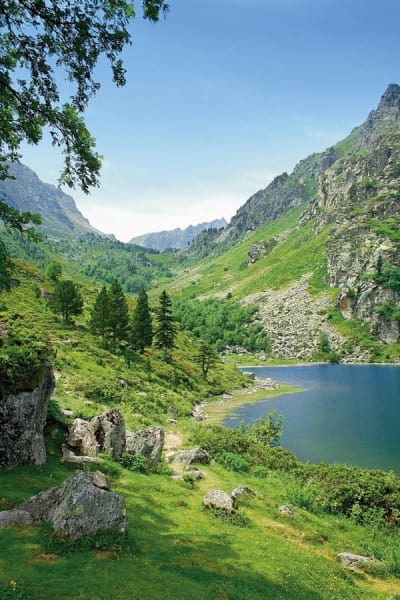 Fototapeta Klarer Bergsee