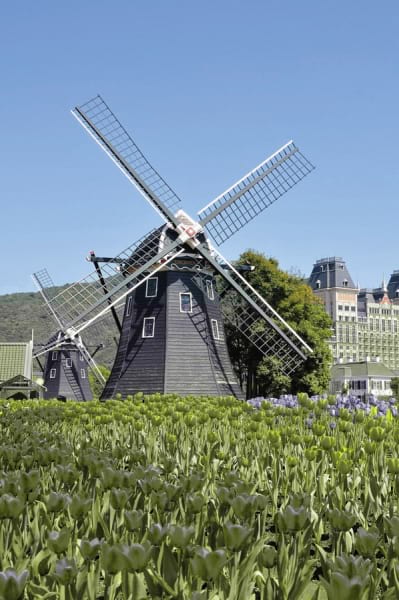 Fototapeta Mühle