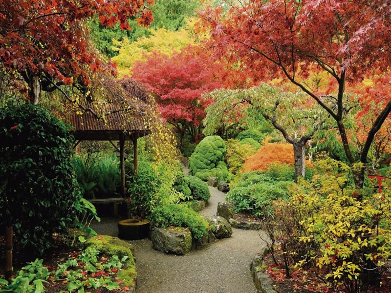 Fototapeta Herbstgarten