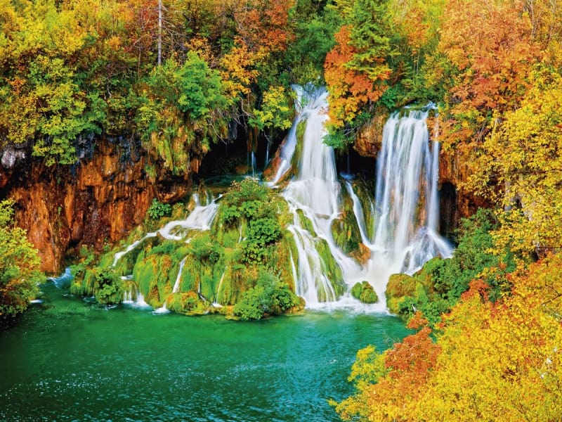 Fototapeta Wasserfall im Herbstpark
