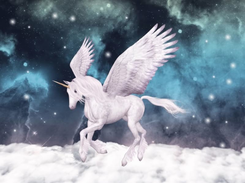 Fototapeta Geflügeltes Einhorn