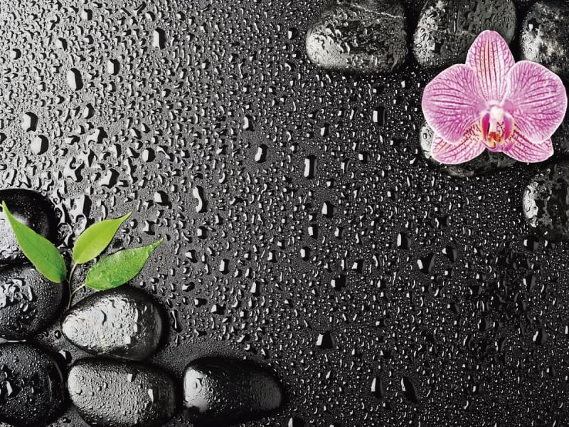 Fototapeta Orchidee und Regentropfen