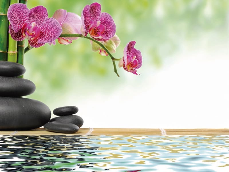 Fototapeta Orchideen über Wasser