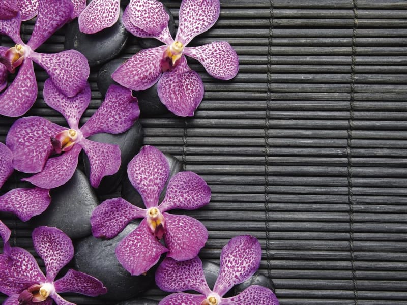 Fototapeta Wilde Orchidee und Steine