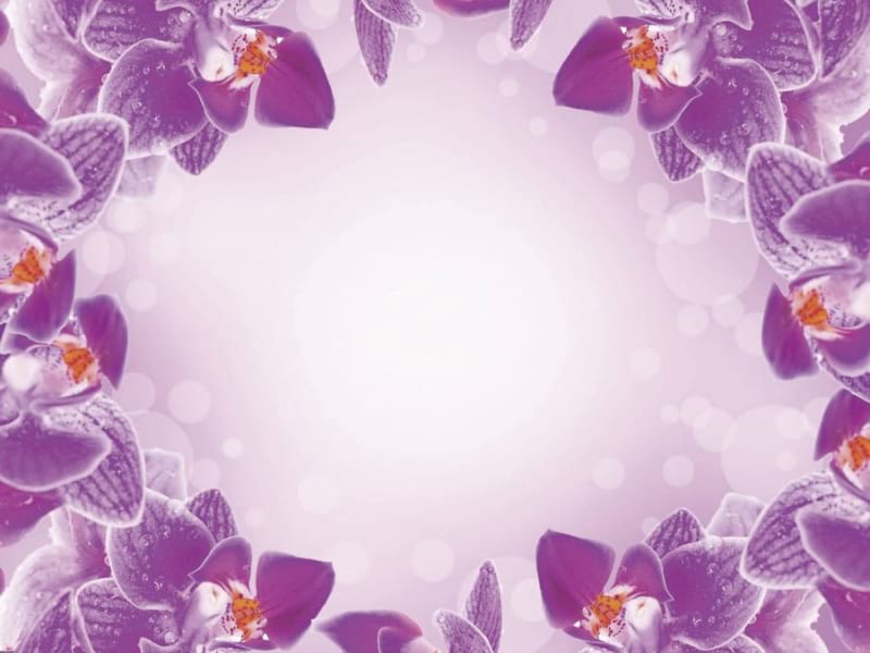Fototapeta Rahmen aus Orchideen
