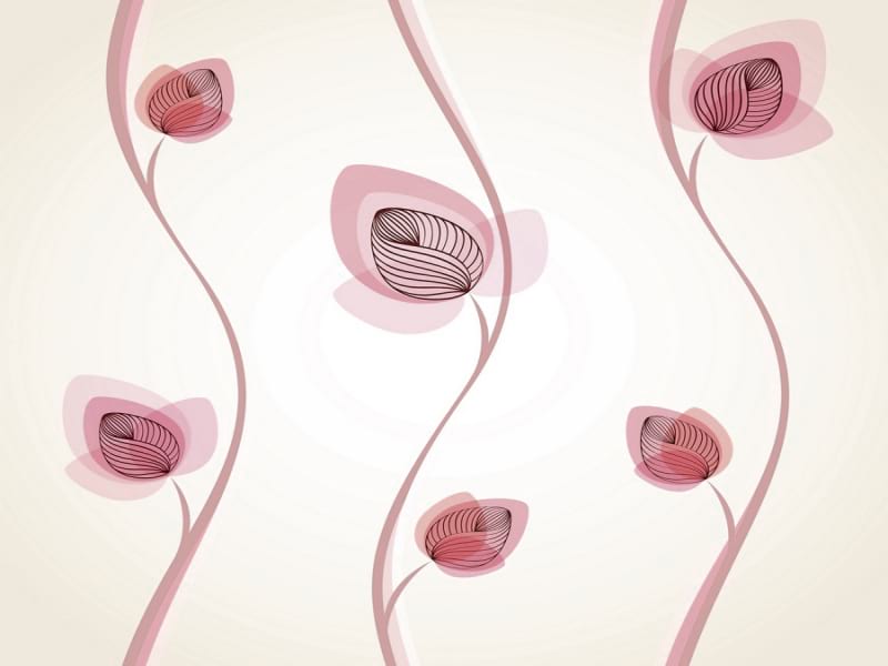 Fototapeta Rosa Blumen zeichnen