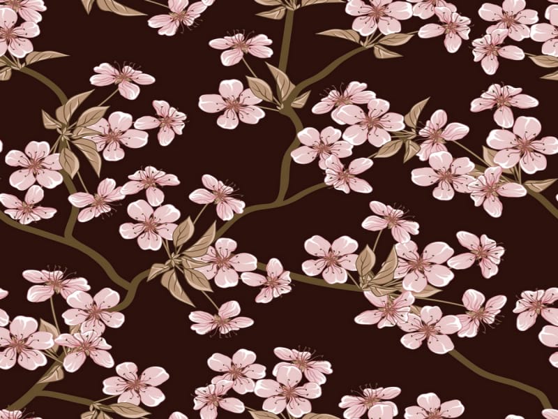 Fototapeta Sakura auf dunklem Hintergrund