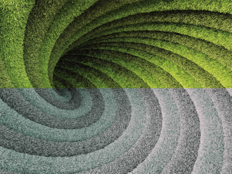 Fototapeta Grüne Spirale