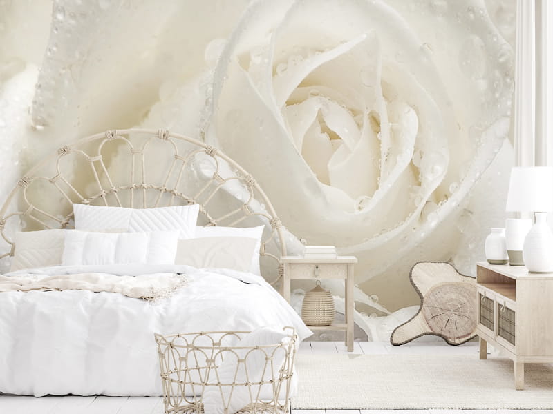 Fototapeta Rose mit Tropfen we wnętrzu sypialni