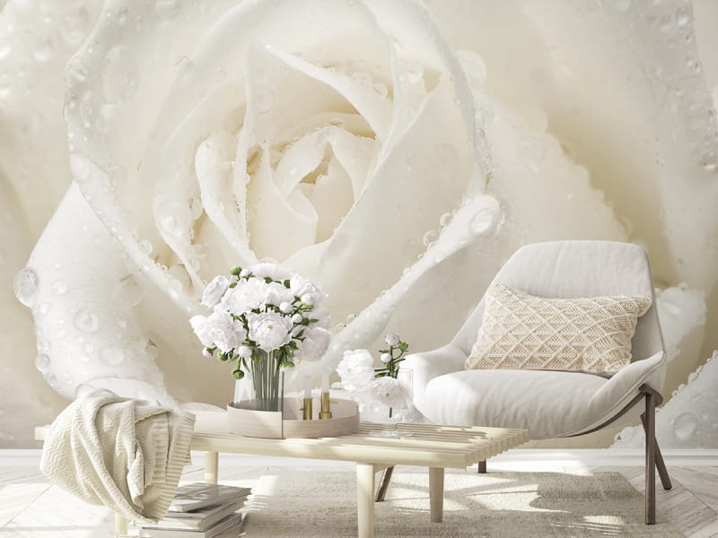 Fototapeta Rose mit Tropfen we wnętrzu salonu