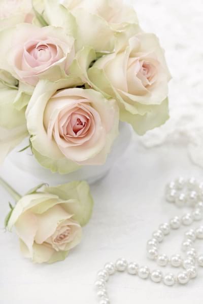 Fototapeta Weiße Rosen und Perlen