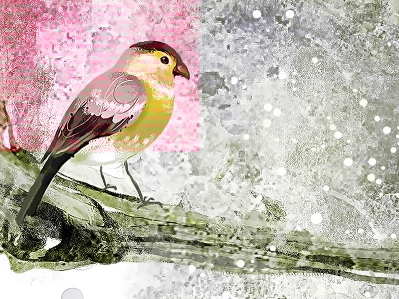 Fototapeta Vogelhaus auf einem Baum fragment # 1