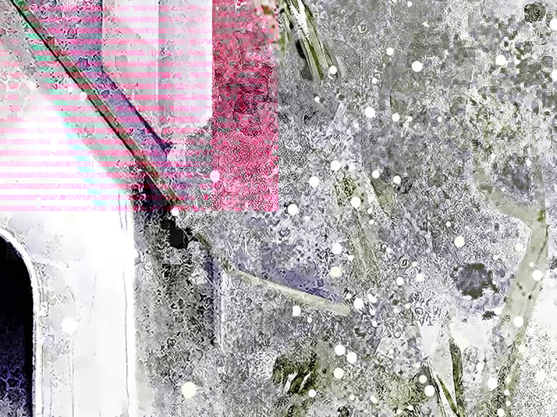 Fototapeta Vogelhaus auf einem Baum fragment #2