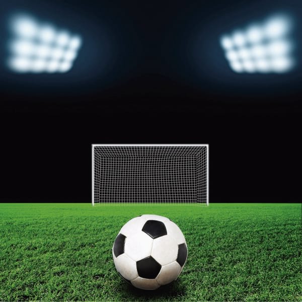 Fototapeta Fußball und Tor