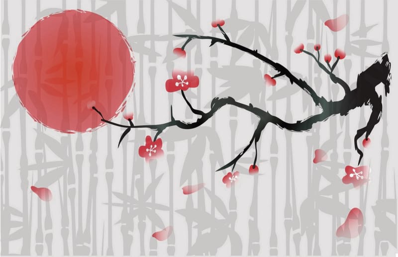 Fototapeta Sakura auf einem Hintergrund aus Bambus