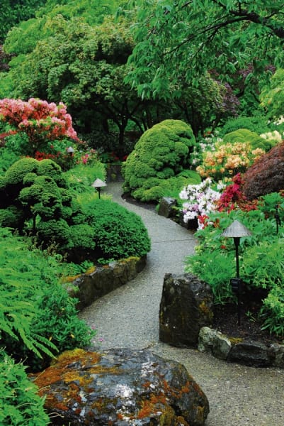 Fototapeta Wunderschöner blühender Garten