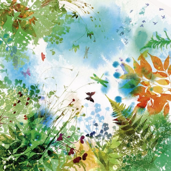 Fototapeta Schmetterlinge im Garten