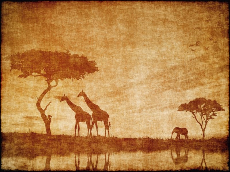 Fototapeta Afrika-Landschaft