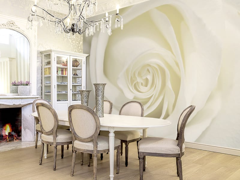 Fototapeta Wunderschöne weiße Rose we wnętrzu kuchni