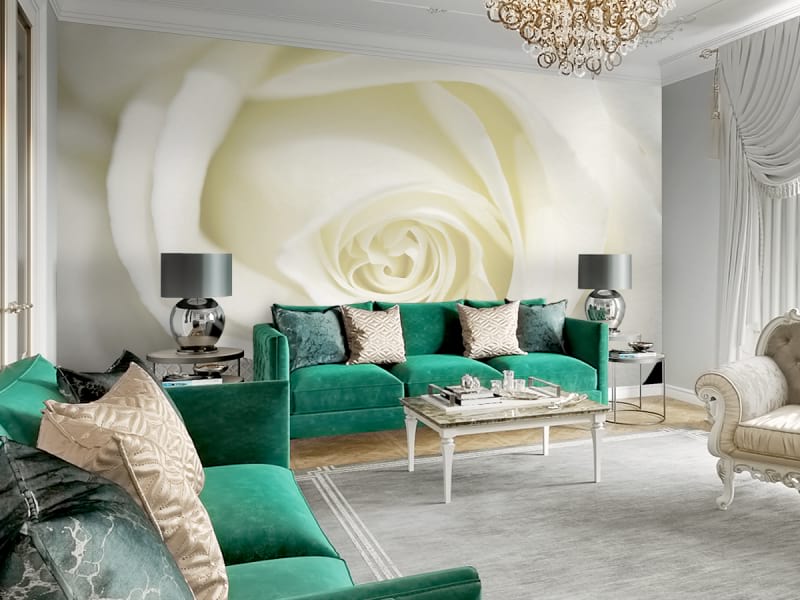 Fototapeta Wunderschöne weiße Rose we wnętrzu salonu