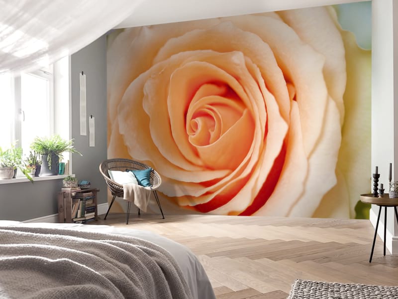 Fototapeta Pfirsichrose we wnętrzu sypialni