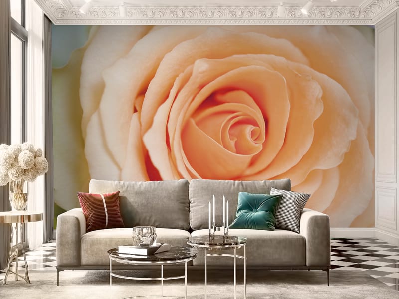 Fototapeta Pfirsichrose we wnętrzu salonu