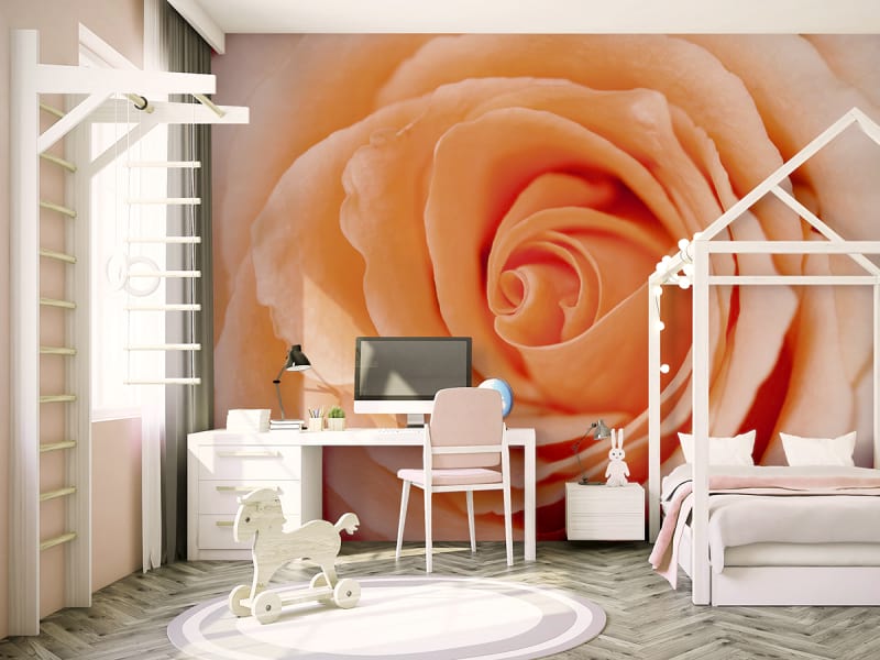 Fototapeta Pfirsichrose we wnętrzu pokoju nastolatka