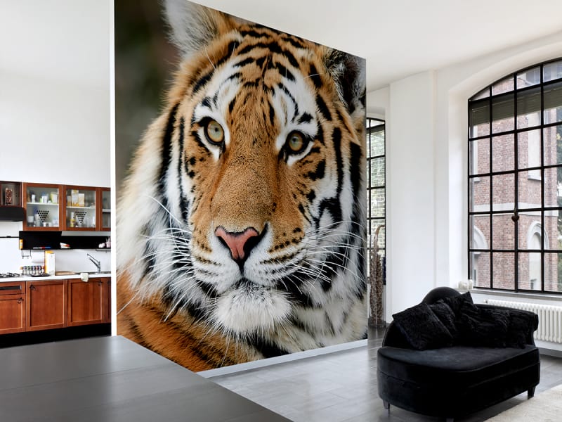 Fototapeta Sibirischer Tiger we wnętrzu salonu