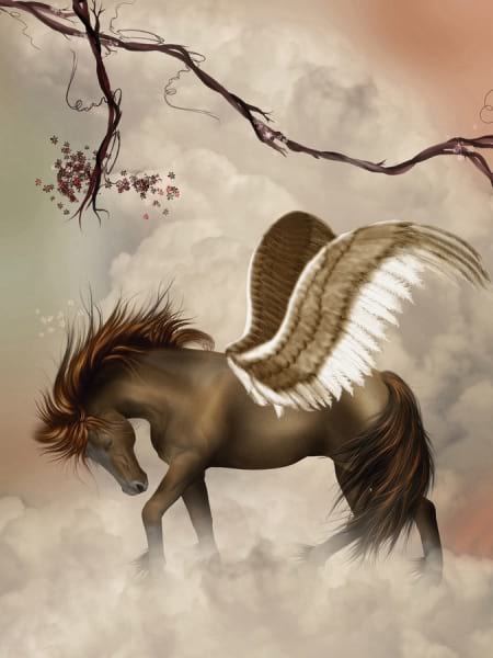 Fototapeta Geflügelter Pegasus