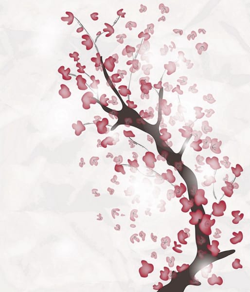Fototapeta Sakura-Aquarell