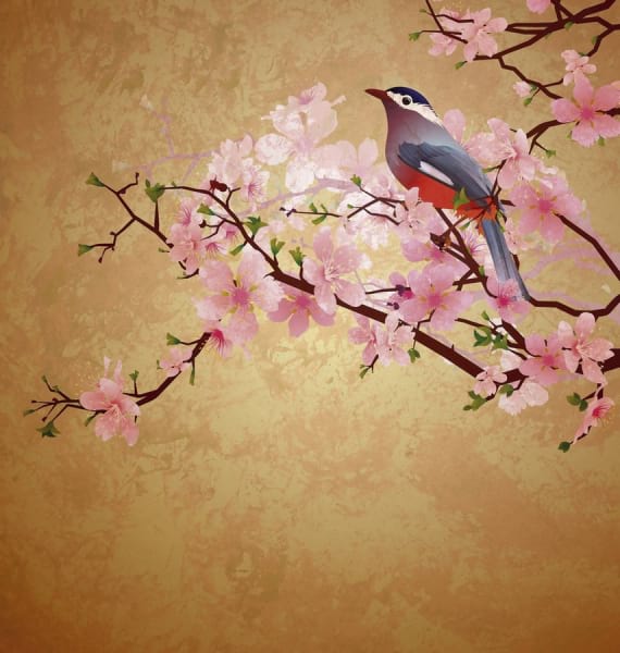 Fototapeta Schöner Vogel