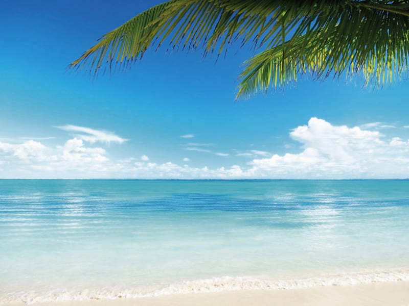 Fototapeta Natur und Meer